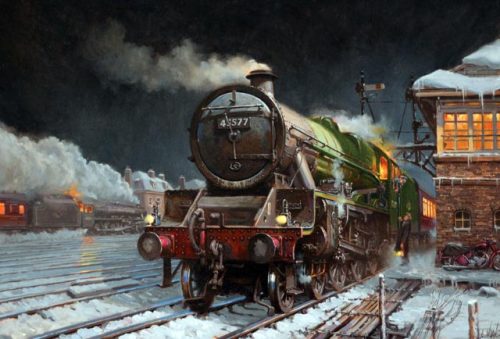 Bengal at Hereford
