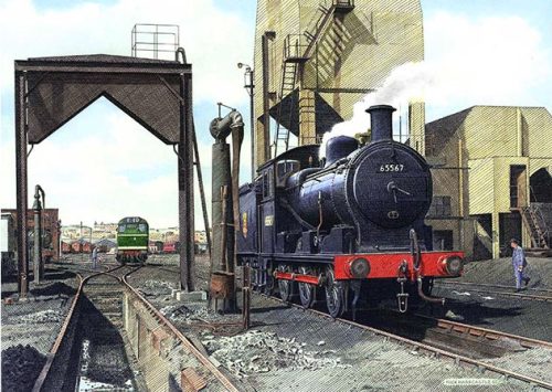 Norwich Shed