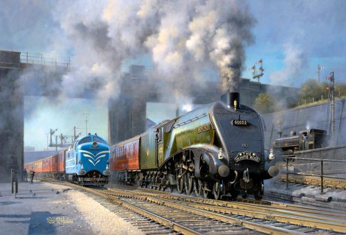 The White Rose